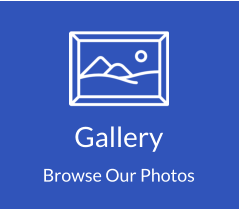 Gallery Browse Our Photos
